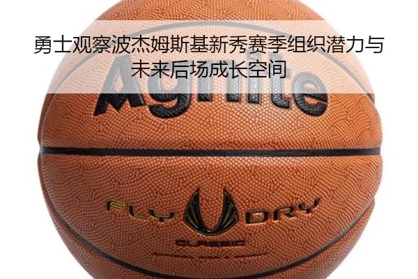 勇士观察波杰姆斯基新秀赛季组织潜力与未来后场成长空间